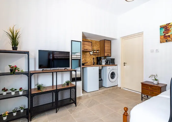 Zulu In W/ Terrace Apartment Larnaca